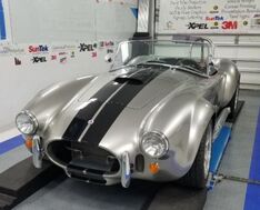 Silver cobra film installation